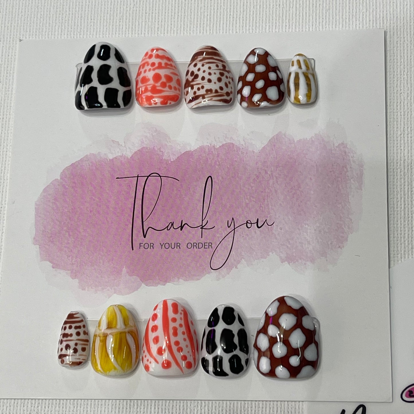 Seashell Design